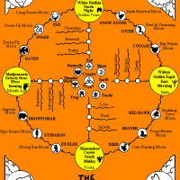 STROKES,ADHD,OMEGA OILS