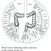 Colons, Parasites, Cancer