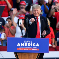 Episode 246: TRUMP AND THE SNAKES