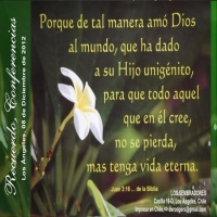 Conferencias Bíblicas