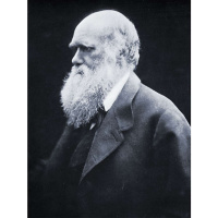 The Christian Foundations of Science and the Impact of Darwin