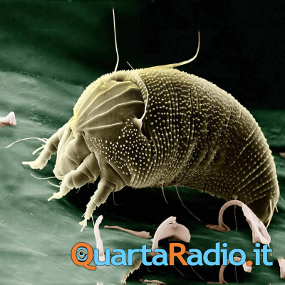 Ultima Di Campionato, Di Francesco Abate