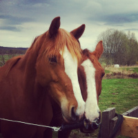 # 56. Praktik - avsnitt 2