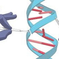 A juicio por las CRISPR [Ep 46]