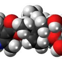 El Señor De Las Moléculas [Ep 22]