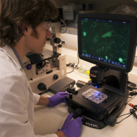 Consiguen regenerar la piel de un paciente [Ep 24]