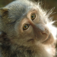 Más allá del embarazo [Bioética 04]