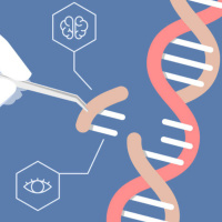 El peligro de las CRISPR [BioÉtica 05]
