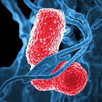 Superbacterias: Resistencia a antibióticos [Ep 18]