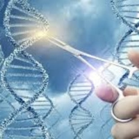 Células madre para curar la piel [Ep 45]