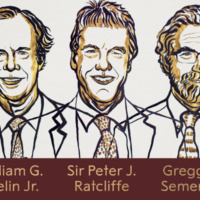 El Nobel de Medicina en 7 minutos (2019)