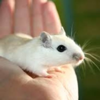 Experimentación Animal, Episodio 13