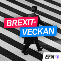 8. Suget efter socialism i Storbritannien