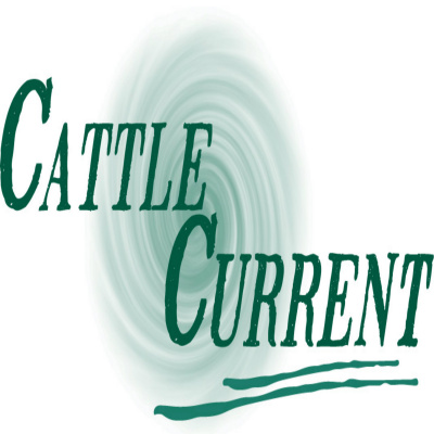Cattle Current Market Update With Wes Ishmael