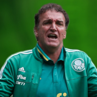 Rodada #21 - Palmeiras BR-16