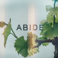 The Fruit of Abiding