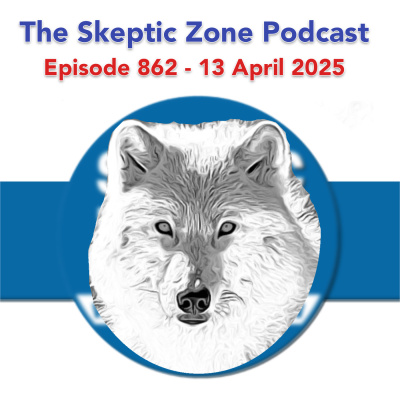 The Skeptic Zone
