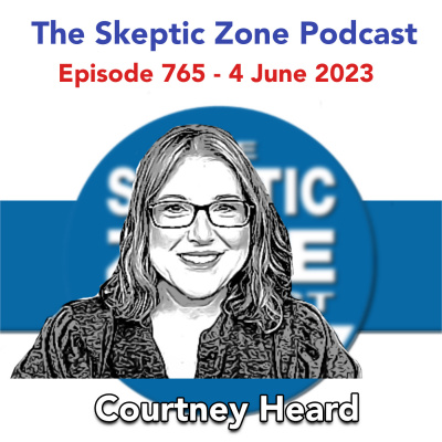The Skeptic Zone