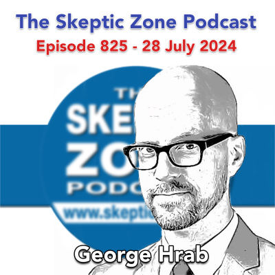 The Skeptic Zone