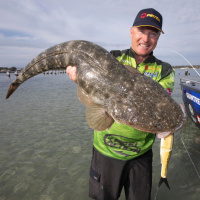 The Big Fish: Fast Furious Fishing Fun with Guesty