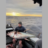 The Big Fish: Huge Yellowfin off the South Coast
