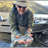 The Big Fish: Bring Back the Mac, 5 Years Down the Track! 