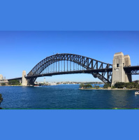 The Big Fish: Massive Harbour Bridge Snapper