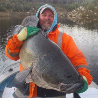 The Big Fish: Electric Motors and Island Stories