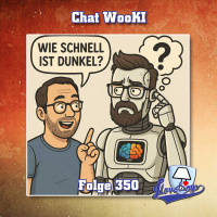 Folge 350 - WooKI