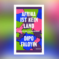 Dipo Faloyin – Afrika ist kein Land