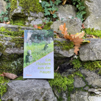 Lim Chul Woo – Ein Flüstern aus der Mauer | Lesetipp