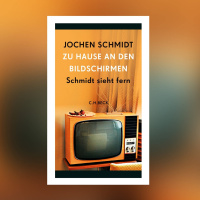 Jochen Schmidt – Zu Hause an den Bildschirmen. Schmidt sieht fern