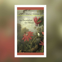 Marvel Moreno – Im Dezember der Wind