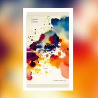 Carolin Callies – teilchenzoo | Buchkritik