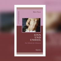 Björn Hayer – Sinn und Unheil. Zur Ästhetik des Schmerzes | Buchkritik