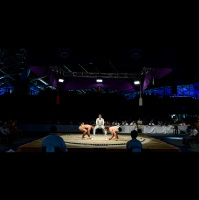 Cogito ergo... Sumo!