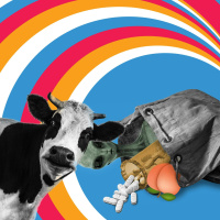 Decoder Ring | Mailbag: Drug Names, Cow Abductions, and the “Ass-Intensifier”