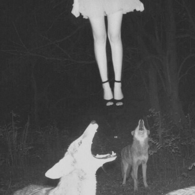 Los Poetas Merecen Morir