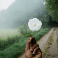 Episode 334: Is This Healing? Guy Macpherson