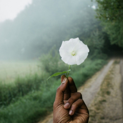 The Trauma Therapist | Podcast With Guy Macpherson, Phd | Inspiring Interviews With Thought-leaders In The Field Of Trauma.