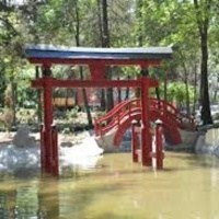 Japón en la Ciudad de México
