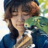 Mil grullas y un colibrí