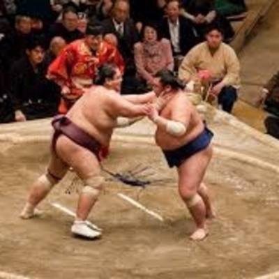 Kinoko Power. Idear Japón