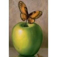 Los olvidados de la tierra