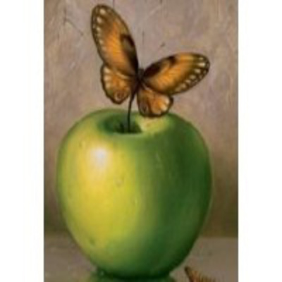 Podcast Efecto Mariposa