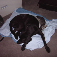 Expect Miracles Daily - What do you have to lose?