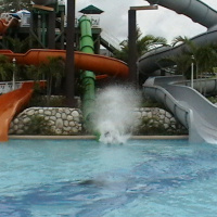 Stress - Use It or Lose It