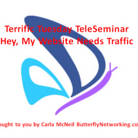 Hey, My Website Needs Traffic