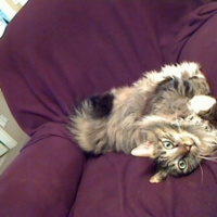 Facing Lifes Challenges