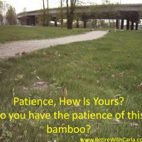 Patience, How Is Yours?